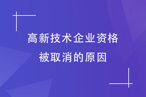 河南高新技术企业认定