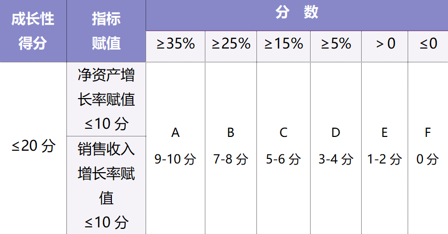 企业成长性评分